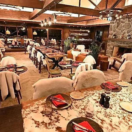 酒店 Swissotel Uludag Bursa Kestel (Bursa)